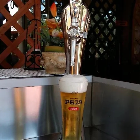 Drini Отель Rrashbull