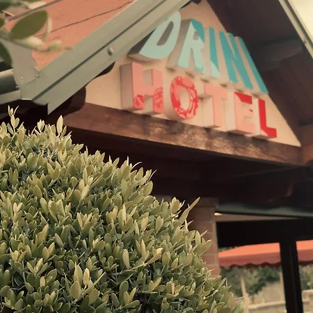 Hotel Drini