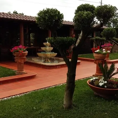 Hotel Drini